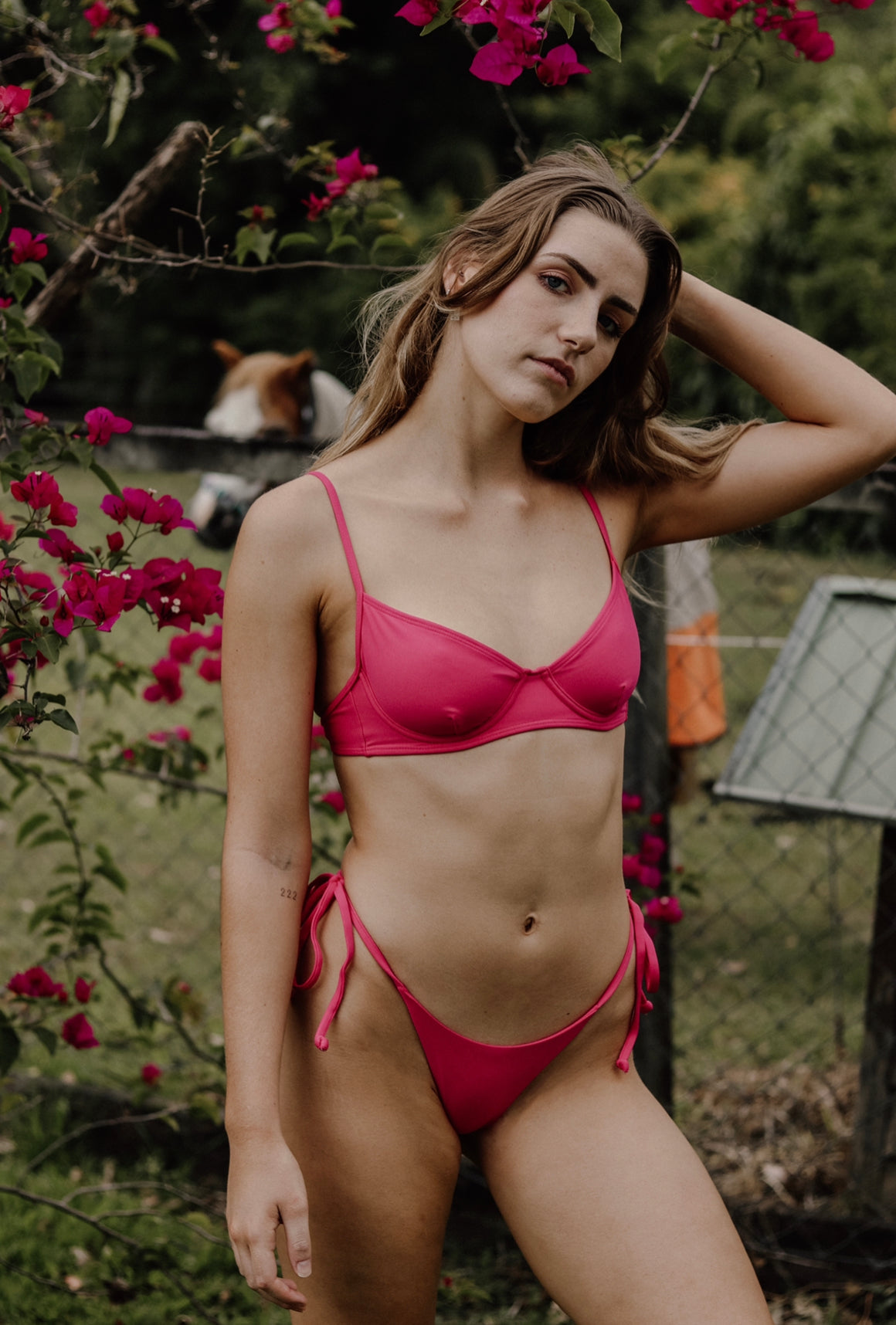 Lula Bottom Hibiscus